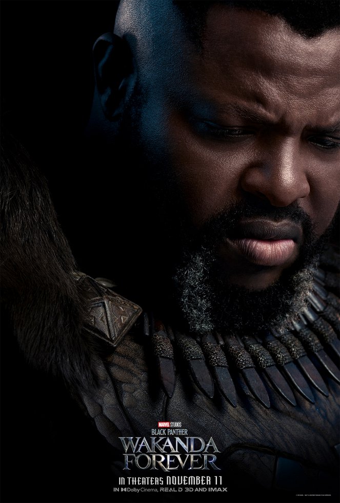 Black Panther: Wakanda Forever - Plakate