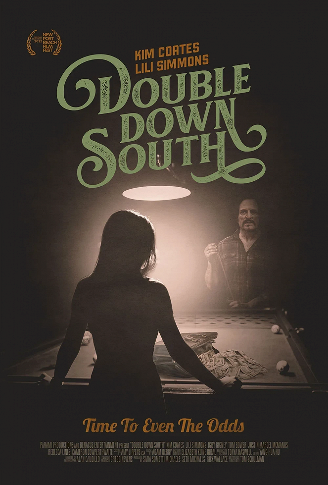 Double Down South - Plagáty