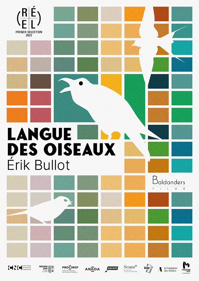 Jazyk ptáků - Plakáty