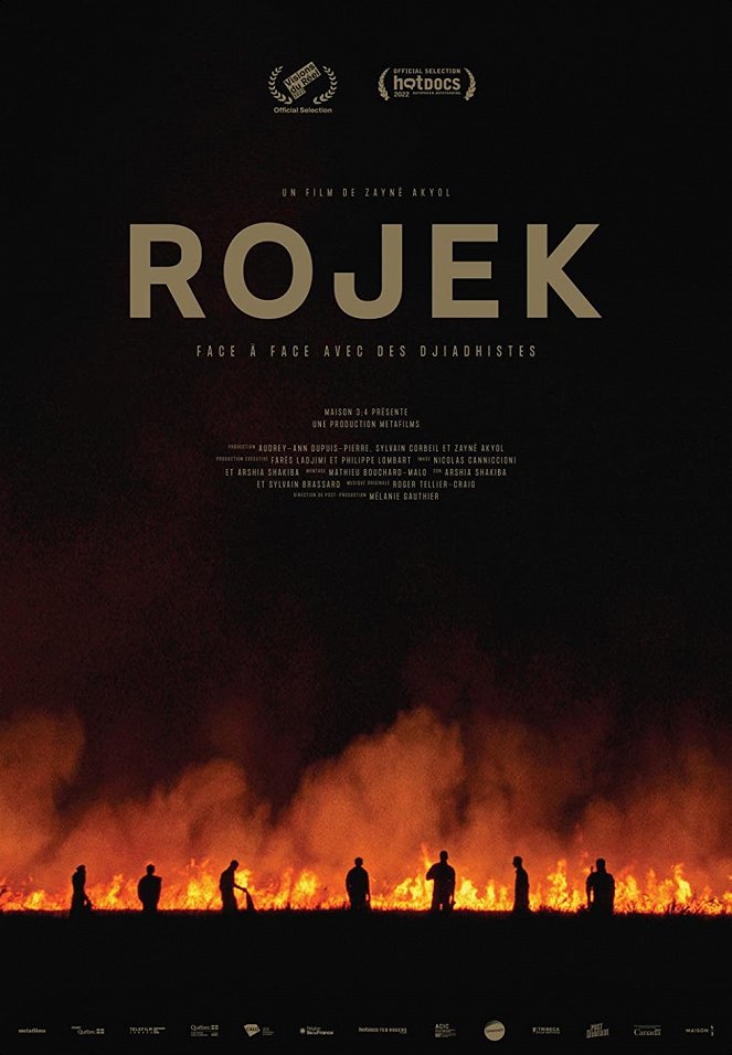 Rojek - Posters
