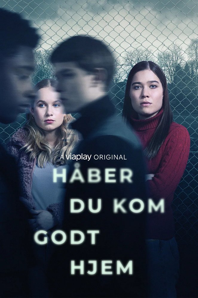 Håber du kom godt hjem - Plakate