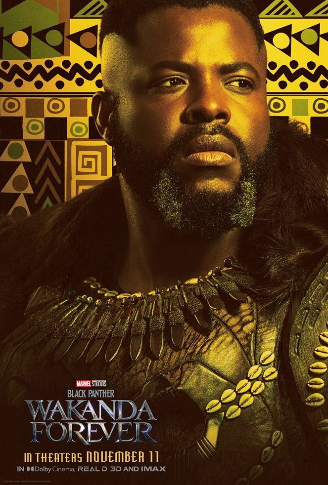 Black Panther: Wakanda Para Sempre - Cartazes
