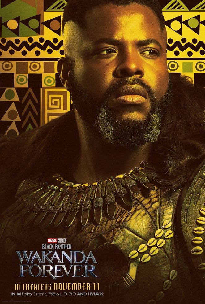 Čierny Panter: Navždy Wakanda - Plagáty