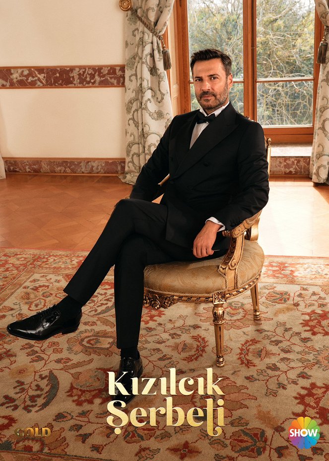 Kızılcık Şerbeti - Plakáty