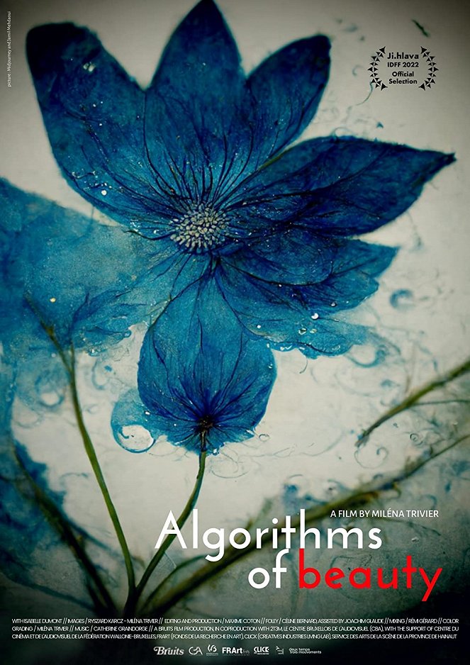 Algorithms of Beauty - Cartazes