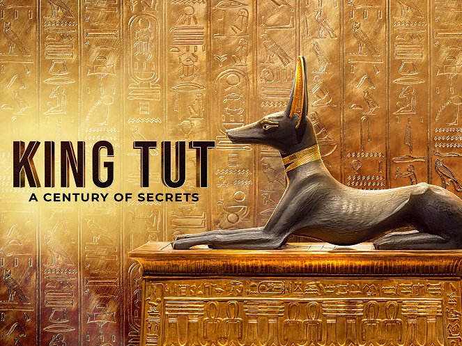 King Tut: A Century of Secrets - Affiches