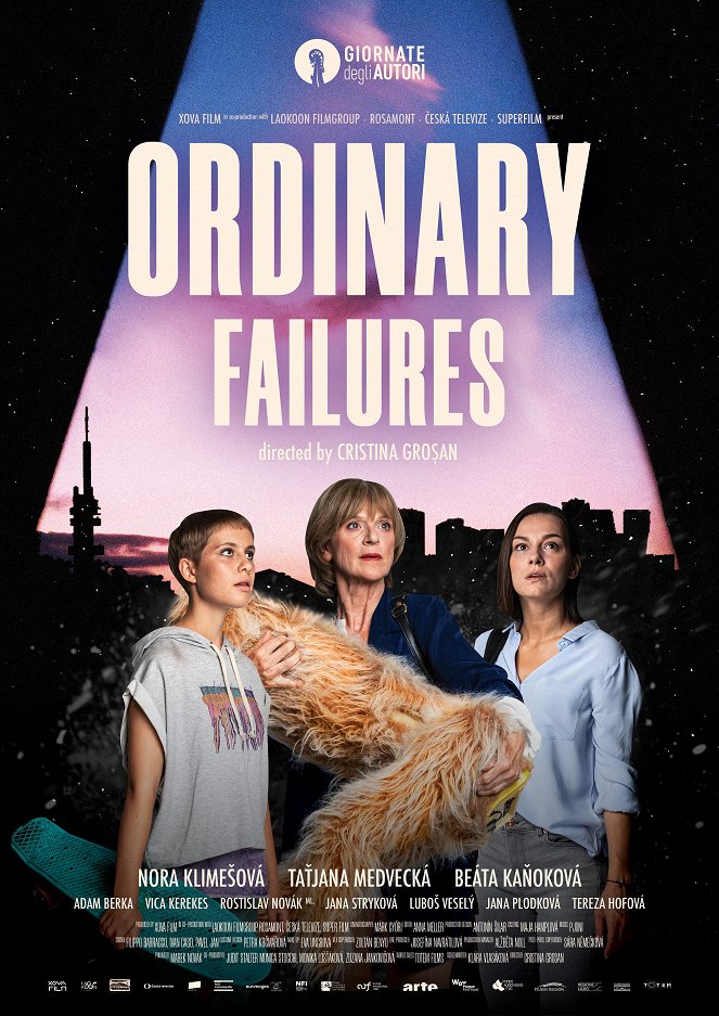 Ordinary Failures - Posters
