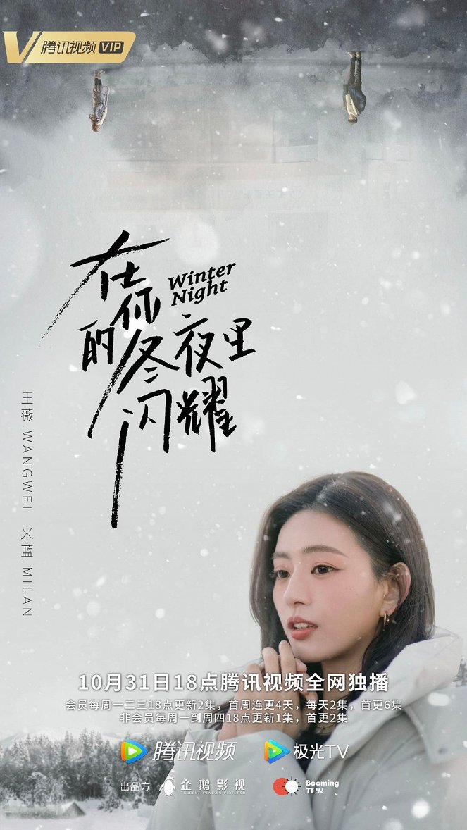 Winter Night - Plakátok