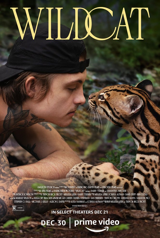 Wildcat - Plakate
