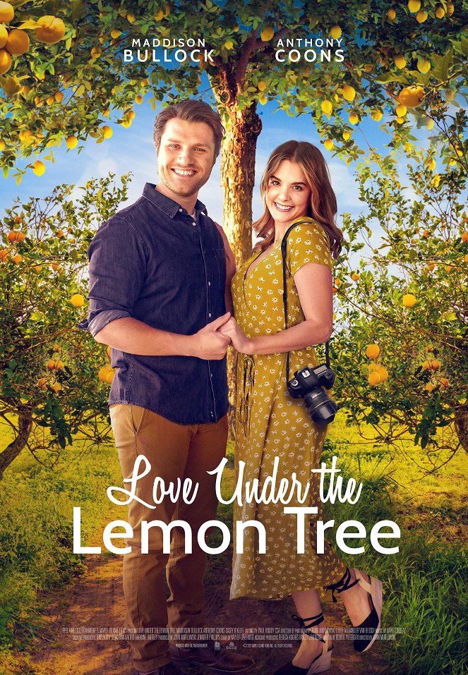 Szerelem a citromfa árnyékában - Plakátok