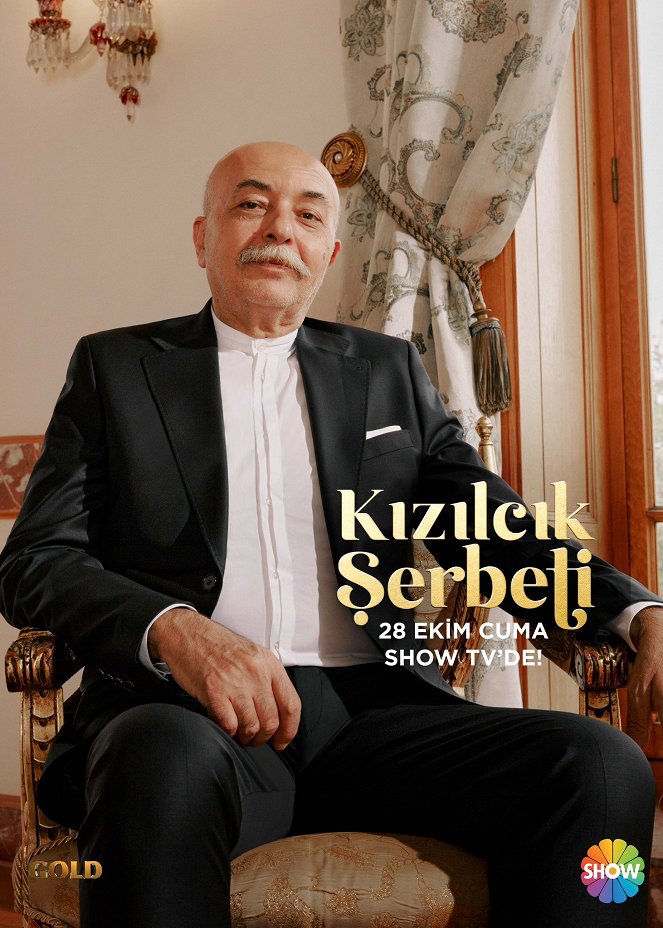Kızılcık Şerbeti - Plakáty