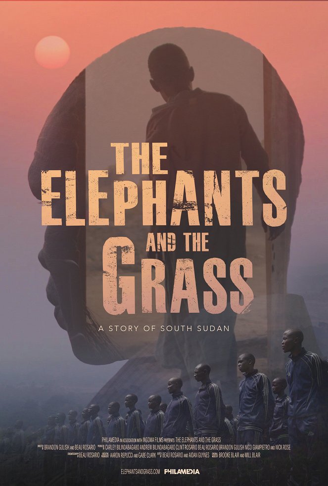 The Elephants and the Grass - Posters