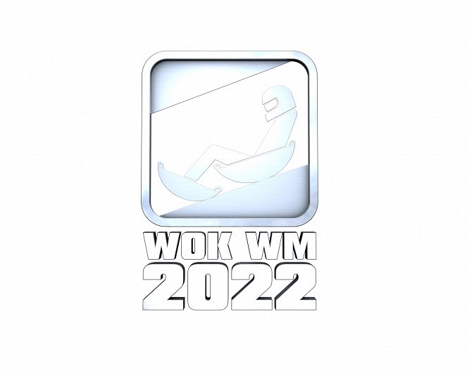 TV total Wok-WM - Affiches