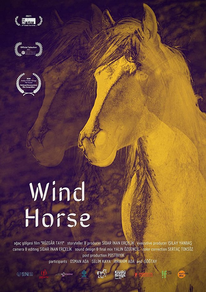 Rüzgâr Tayı - Plakate
