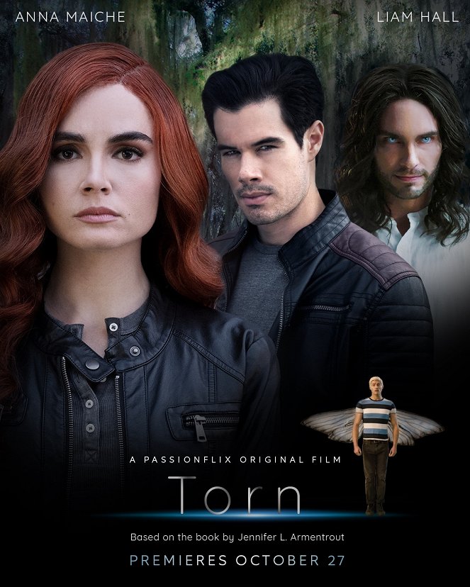 Torn - Affiches
