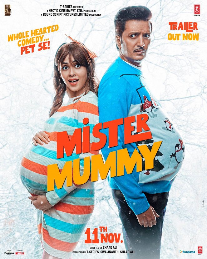 Mister Mummy - Posters