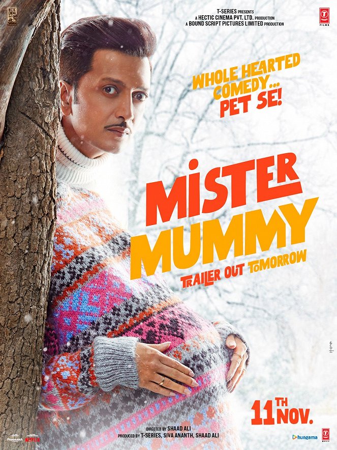 Mister Mummy - Posters
