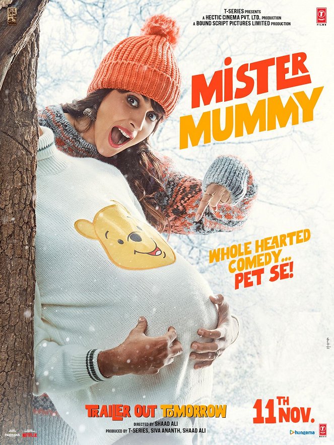 Mister Mummy - Affiches