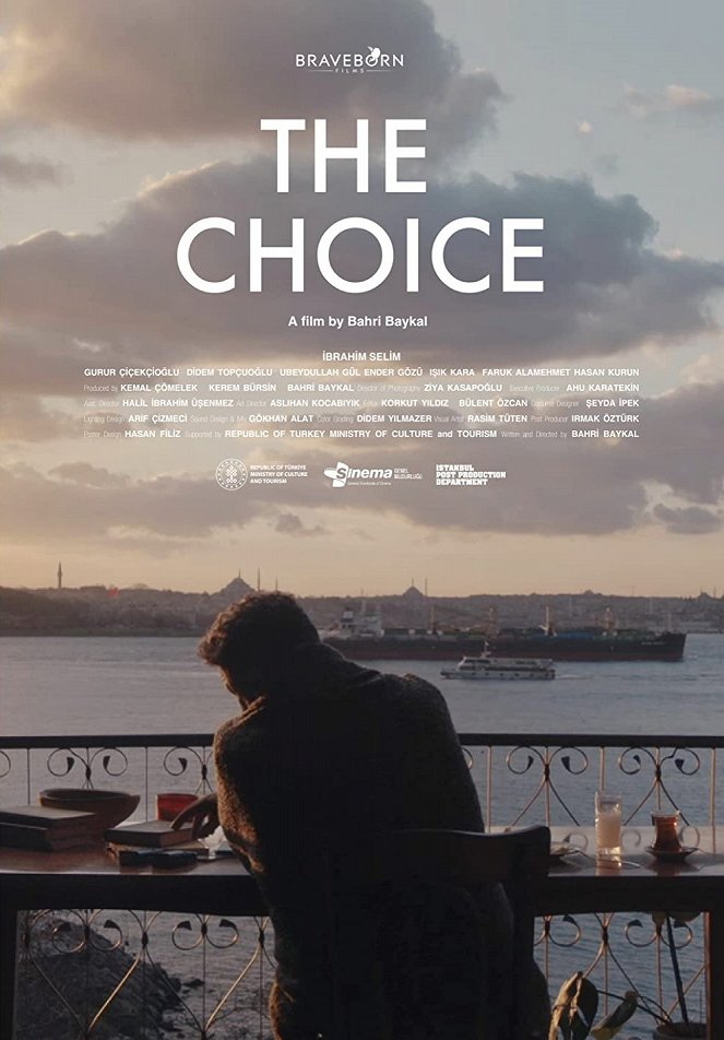 The Choice - Posters