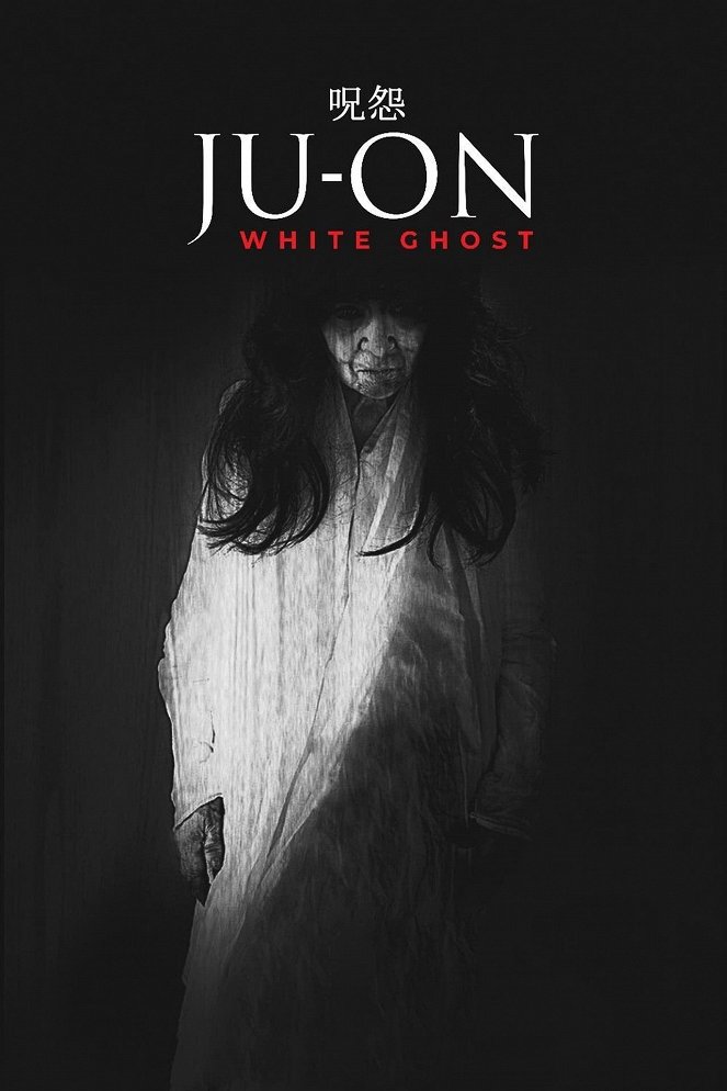 The Grudge: Old Lady in White - Posters