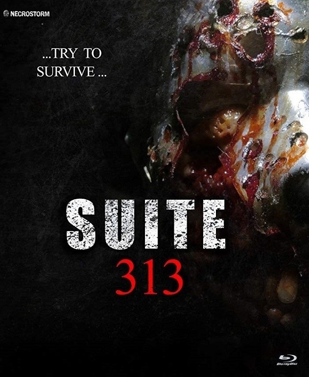 Suite 313 - Plagáty