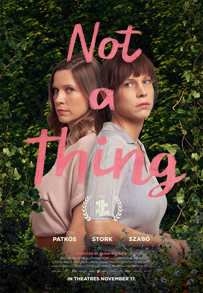 Not a Thing - Posters