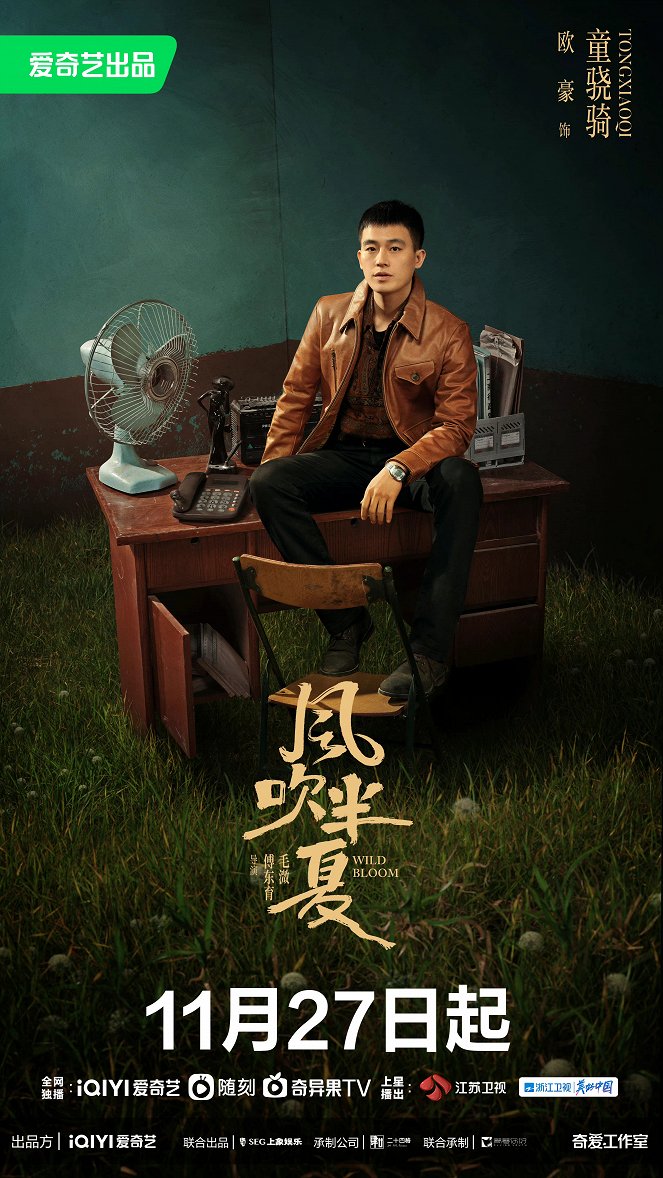 Feng chui ban xia - Plakáty