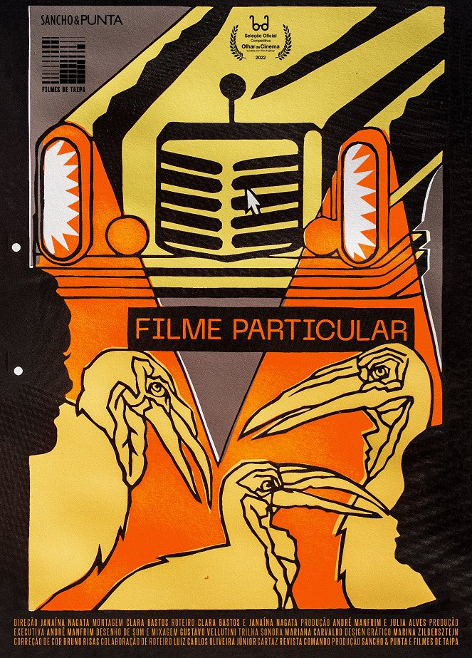 Filme Particular - Posters
