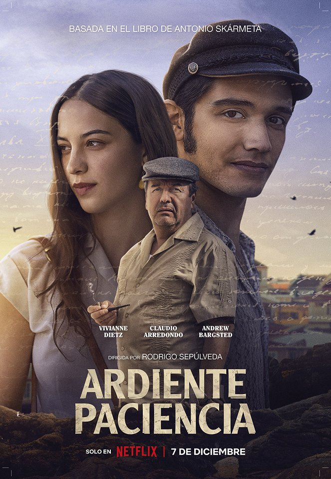 Une ardente patience - Affiches