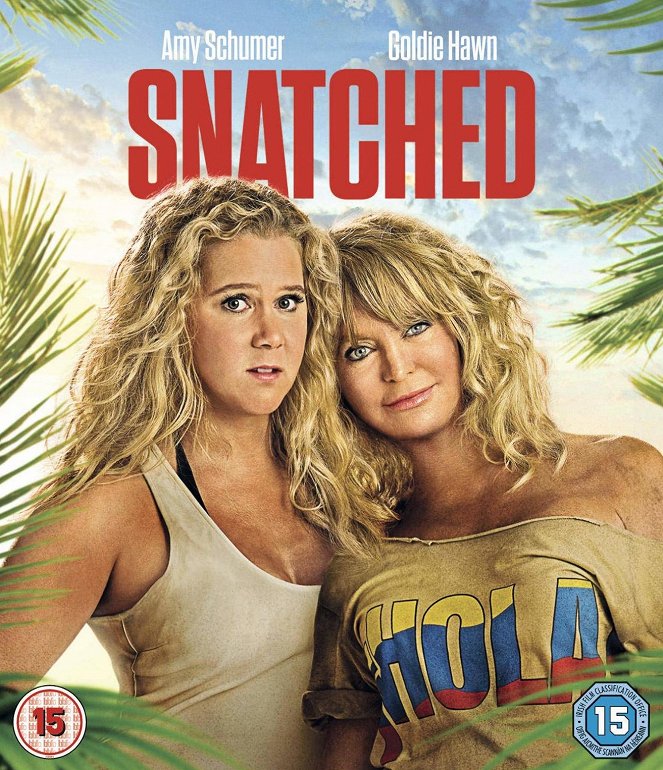 Snatched - Posters