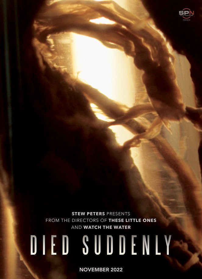 Died Suddenly - Posters