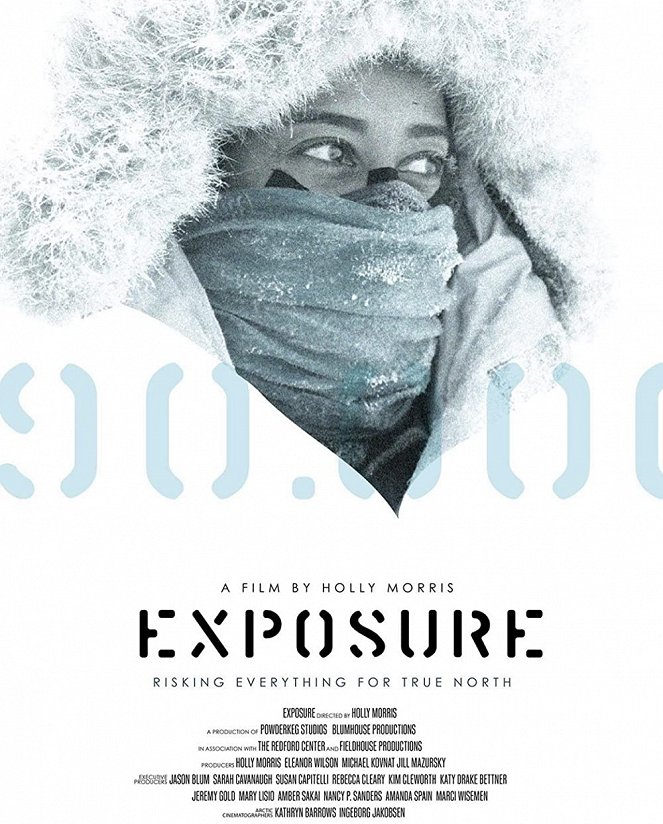 Exposure - Carteles