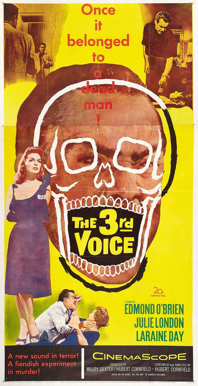 The 3rd Voice - Plakaty