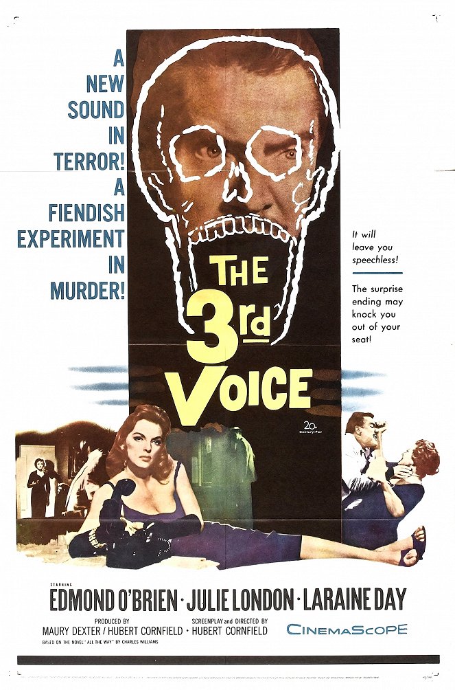 The 3rd Voice - Affiches