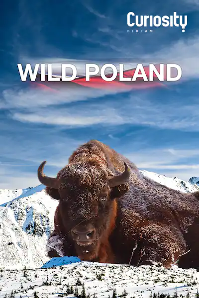 Krásy divokého Polska - Plakáty