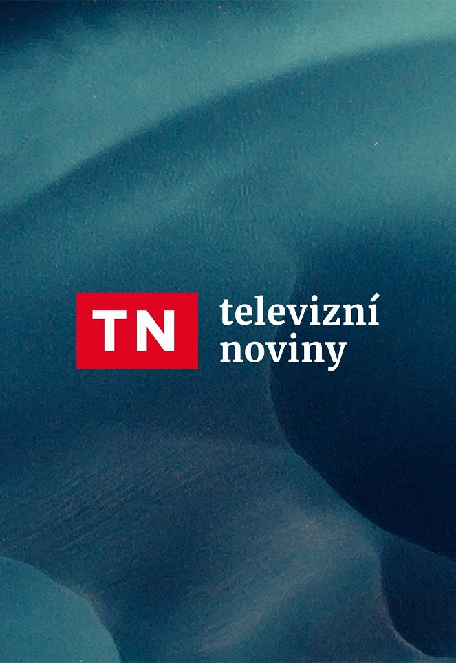 Televizní noviny - Posters