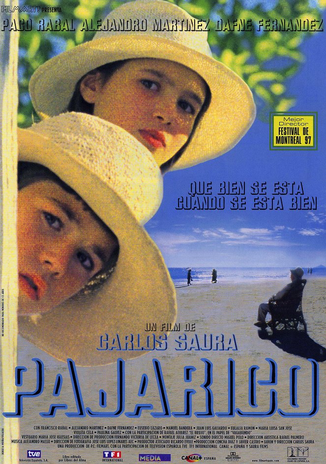 Pajarico - Plakaty