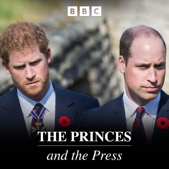 The Princes and the Press - Plakate