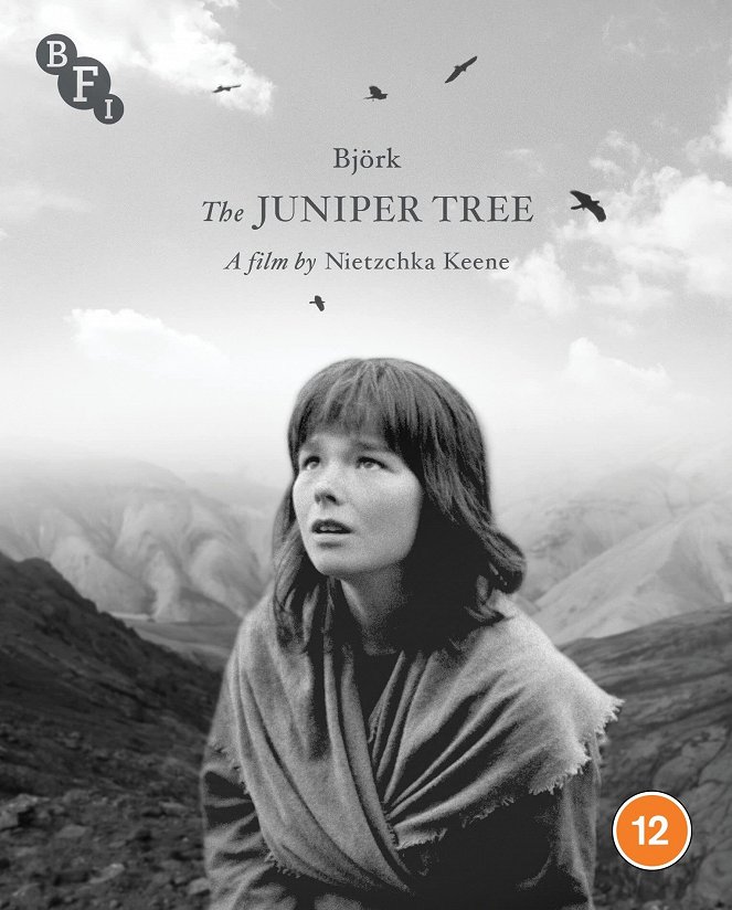 The Juniper Tree - Posters