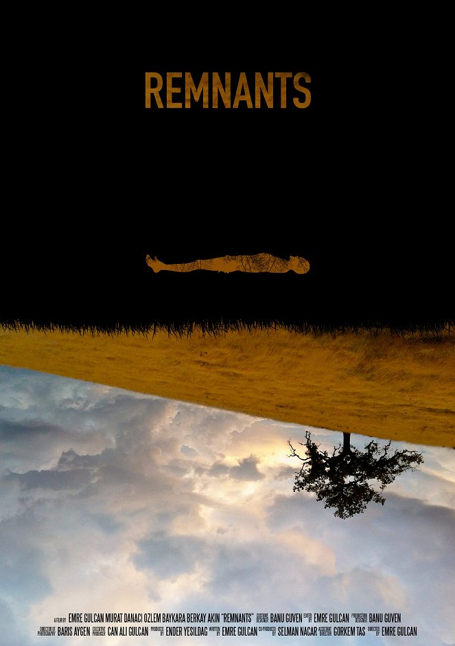 Remnants - Posters