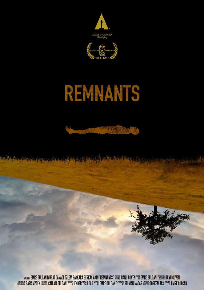 Remnants - Posters