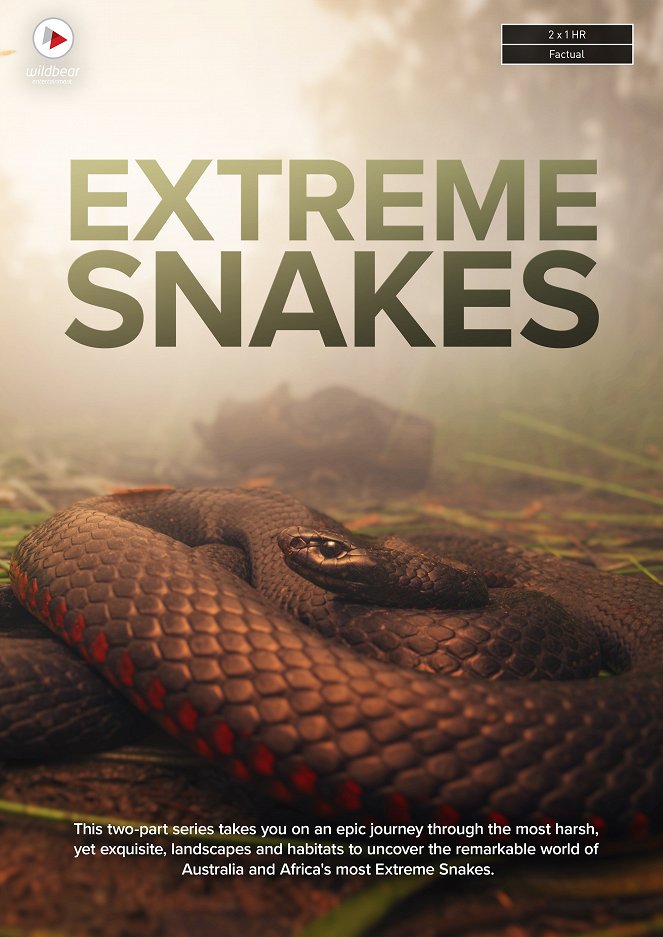 Extreme Snakes - Posters