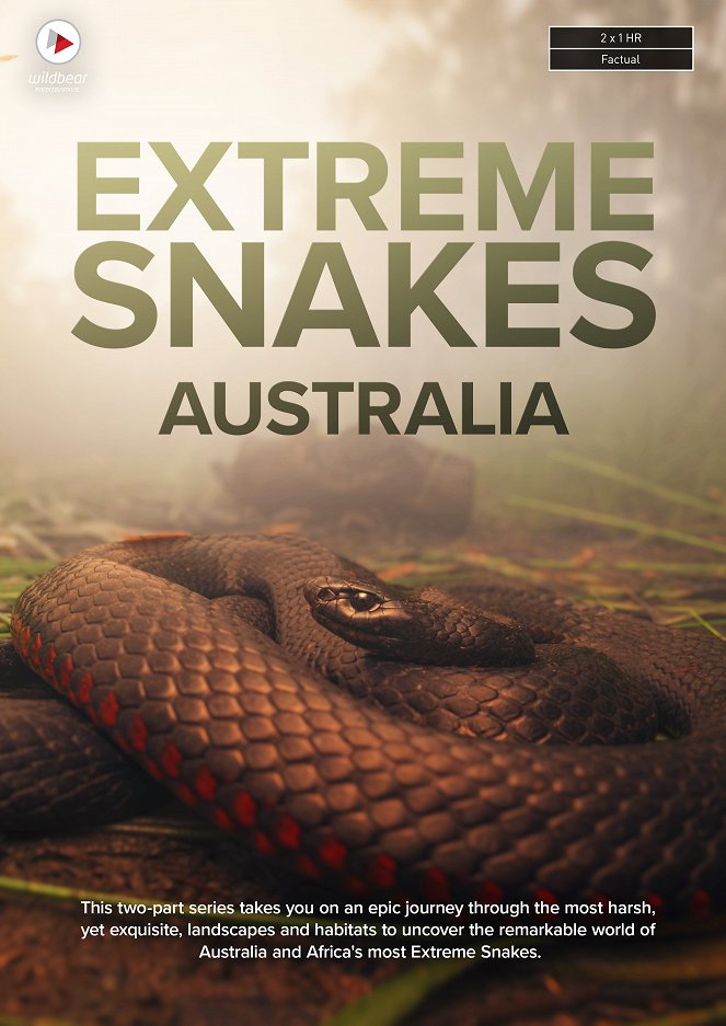 Különleges kígyók - Plakátok