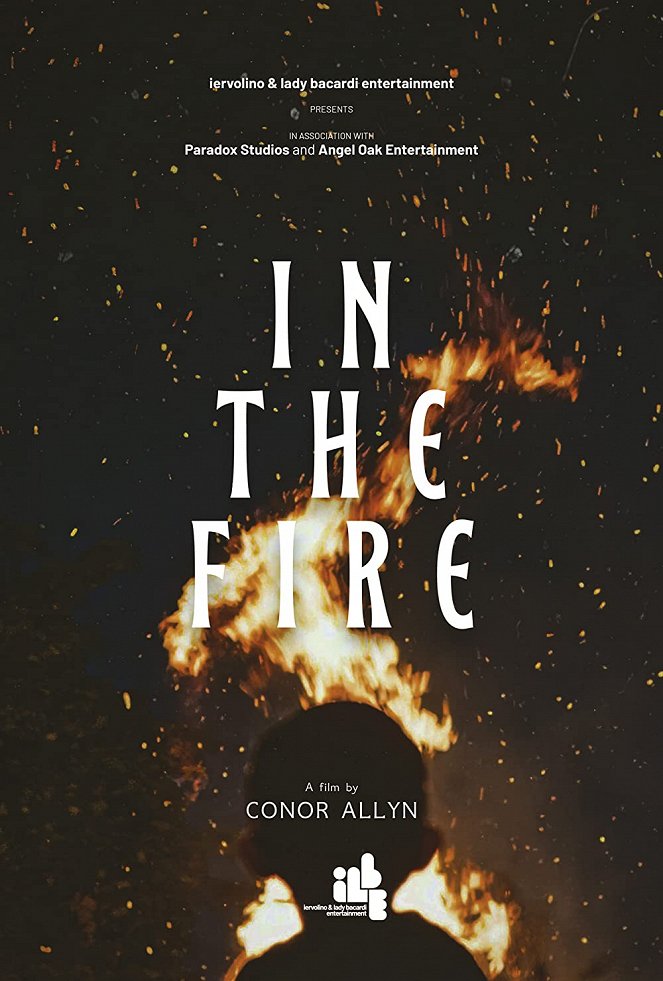 In the Fire - Cartazes