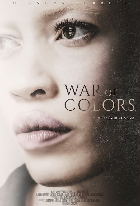 War of Colors - Plagáty
