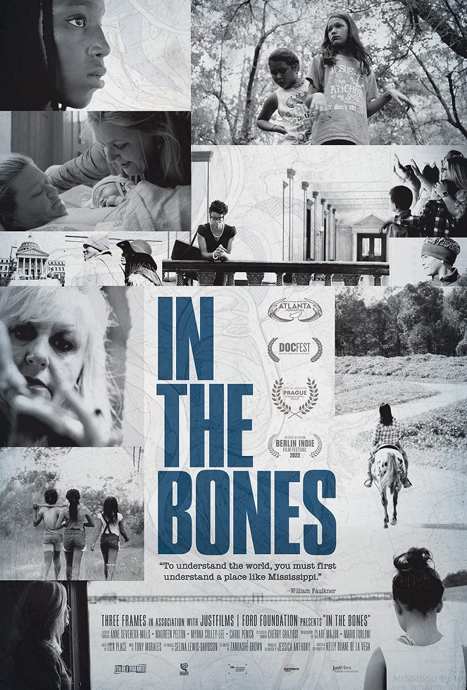 In the Bones - Affiches