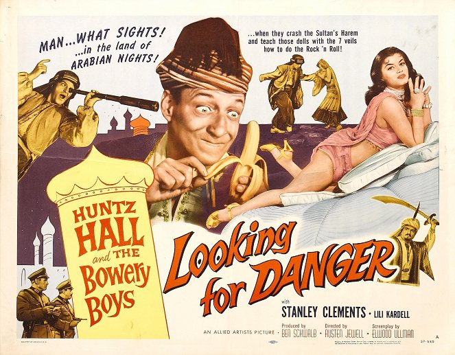Looking for Danger - Affiches