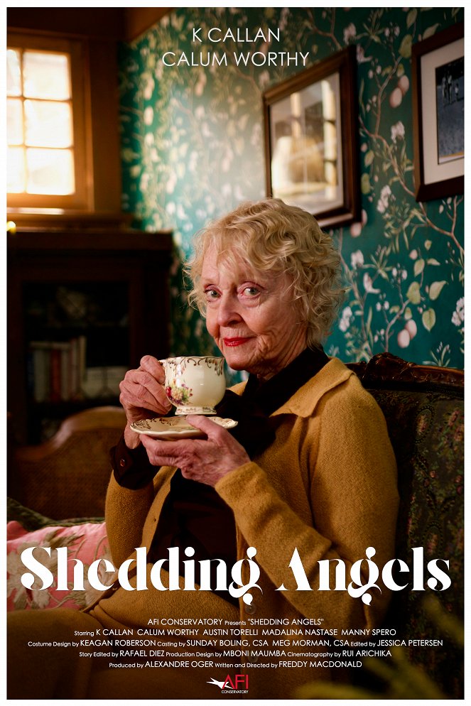 Shedding Angels - Posters