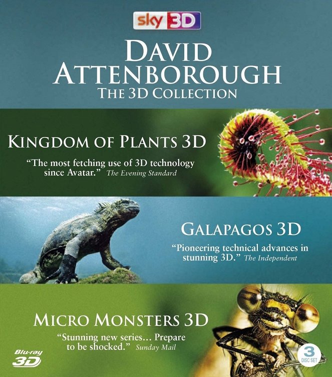 Kingdom of Plants 3D - Affiches