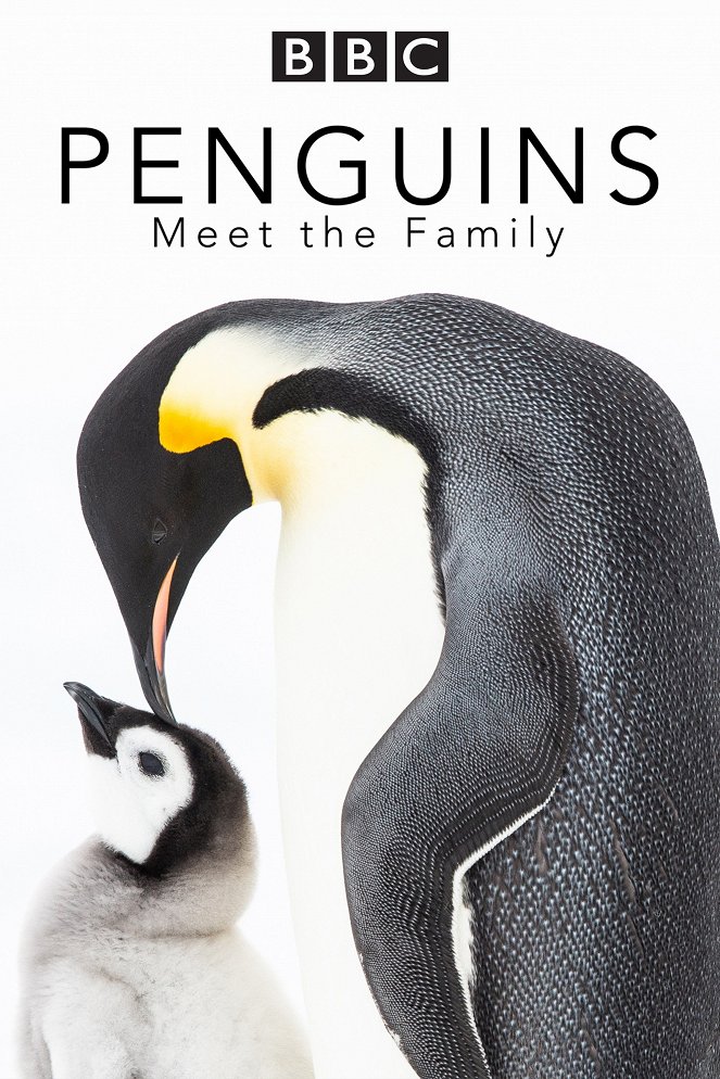 Tučňáci - setkání s rodinou - Plagáty
